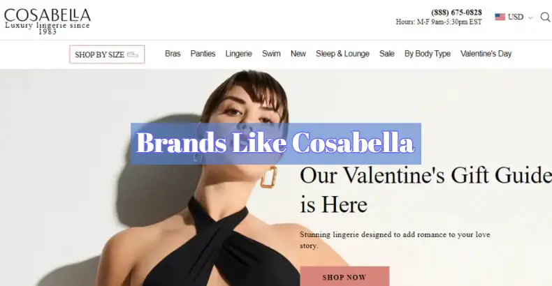 Brands Like Cosabella